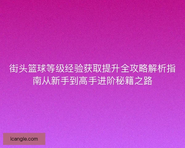 街头篮球等级经验获取提升全攻略解析指南从新手到高手进阶秘籍之路